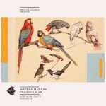 Andrea Martini – Peninsula EP on Emotive Sounds