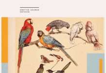 Andrea Martini – Peninsula EP on Emotive Sounds