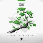 Premiere : Gurbo – Someplace Somewhere (Mozaiku)