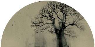 Tuvaband vs. Butch – Trees (Butch Remixes) (Crosstown Rebels)