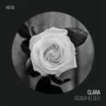 Premiere : Adam Helder – Clara (Hawthorne Sessions)