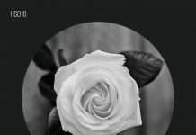 Premiere : Adam Helder – Clara (Hawthorne Sessions)