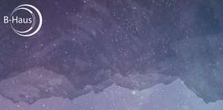 Premiere : Blamhaus – Swing Ting (Buuk Remix) (B-haus005)