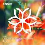 TOP 20 Drum n Bass Chart – December 2018