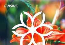 TOP 20 Drum n Bass Chart – December 2018