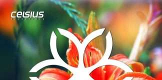 TOP 20 Drum n Bass Chart – December 2018