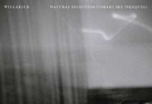 Listen : Willaris. K drops new double A-side,‘Natural Selection/Cobaki Sky (Prequel)’