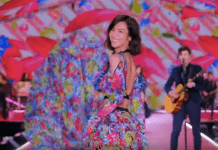 Shawn Mendes – Lost In Japan (Live From The Victoria’s Secret 2018 Fashion Show)