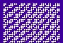 Blackrachas – Paracasta (Cocoon Recordings)