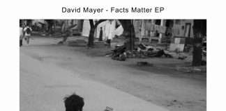David Mayer – Facts Matter EP on connected