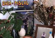 Enea Pascal – Papa Boy