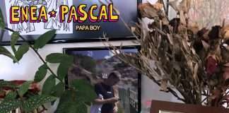 Enea Pascal – Papa Boy