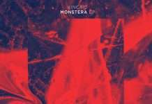 Kincaid – Monstera (AEON)