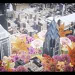 Maribou State Release new video for Kingdom