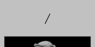 Principleasure – I