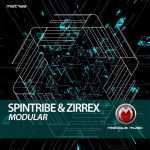 Track of the Day : Spintribe & Zirrex – Back Drop Of Normality (Mistique Music)