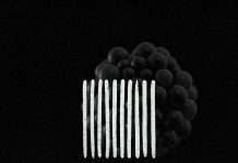 Bryan Peroni, Daniel Rateuke, Luthier and Stil & Bense arrive on ZEHN Records