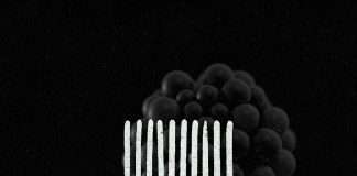 Bryan Peroni, Daniel Rateuke, Luthier and Stil & Bense arrive on ZEHN Records