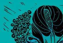 New Berlin-based collective hvmble team up with visual artist Peter Aurisch on Textures EP series