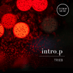 Intro_p returns to his own imprint to release three melodic cuts entitled ‘Trieb’