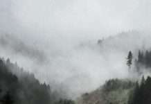 Listen : Broj’s new track Solitude