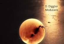 D. Diggler – Modularis EP on Lucidflow
