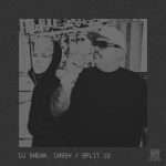 DJ Sneak, Cassy – Split 12 (No.19 Music)