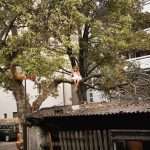 Kalabrese teams up with Lara Stoll for a new EP “Let Me Be Your Princess” on Zukunft Recordings