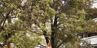 Kalabrese teams up with Lara Stoll for a new EP “Let Me Be Your Princess” on Zukunft Recordings