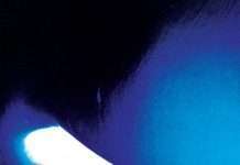 Listen : Placid Angles – First Blue Sky LP