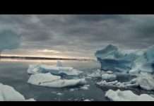 Watch : Riccicomoto – those who be happy (dub session)(Video)