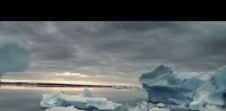 Watch : Riccicomoto – those who be happy (dub session)(Video)