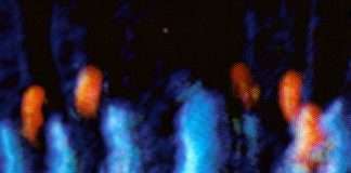 Listen : Jordan Rakei releases new single ‘Mind’s Eye’ on Ninja Tune