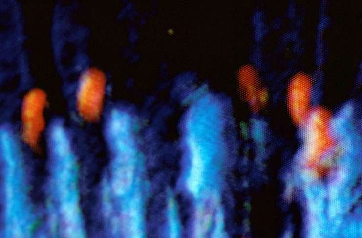 Listen : Jordan Rakei releases new single ‘Mind’s Eye’ on Ninja Tune