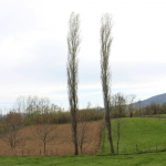 Listen : Spring Mix by Oversound