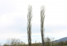 Listen : Spring Mix by Oversound