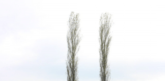 Listen : Spring Mix by Oversound