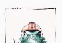 Acid Pauli & Nico Stojan ‘Flying Lizard’ EP