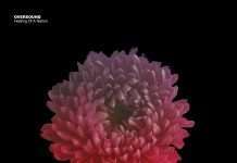 Oversound – Healing Of A Nation EP(Preview) on Dubiks Music