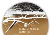 Buffered Multiple return to Pomelo w Buffer 05