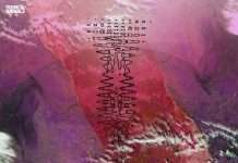 Daniele Baldelli & Dario Piana – Surrounding Areas EP on Tropical Animals