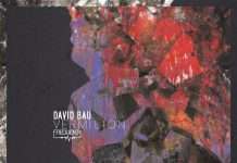 Premiere : David Bau – They Are Coming for You(Frequenza Records)