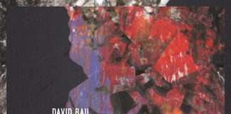 Premiere : David Bau – They Are Coming for You(Frequenza Records)