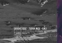 Premiere : Groovetique, Tudor Micu, Cali – Kaleidoscope(Frequenza)
