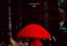 Francesca Lombardo- Rain Remixes EP (incl.Tobi Neumann, Kate Simko, MATTOKÌND, Robin Millar and Delos Remixes)