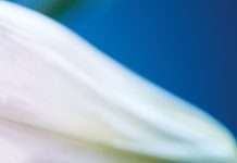 Listen : Francis Harris – Trivial Occupations Remixes(incl. Joaquin Joe Claussell and LNS remix)(Scissor & Thread)