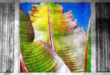 Listen : KH aka Four Tet – Only Human