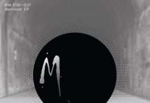 Track of the Day : Melodymann – Runaway (Melodymathics)