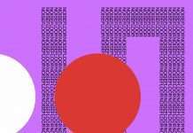 ANMA & JOVEM “Birds Mind EP” (NoiseFloor Records)