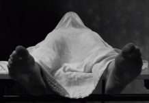 Watch : PowerSolo’s new music video “Lonely Gal” (classic horror films, psychedelia, garage punk)